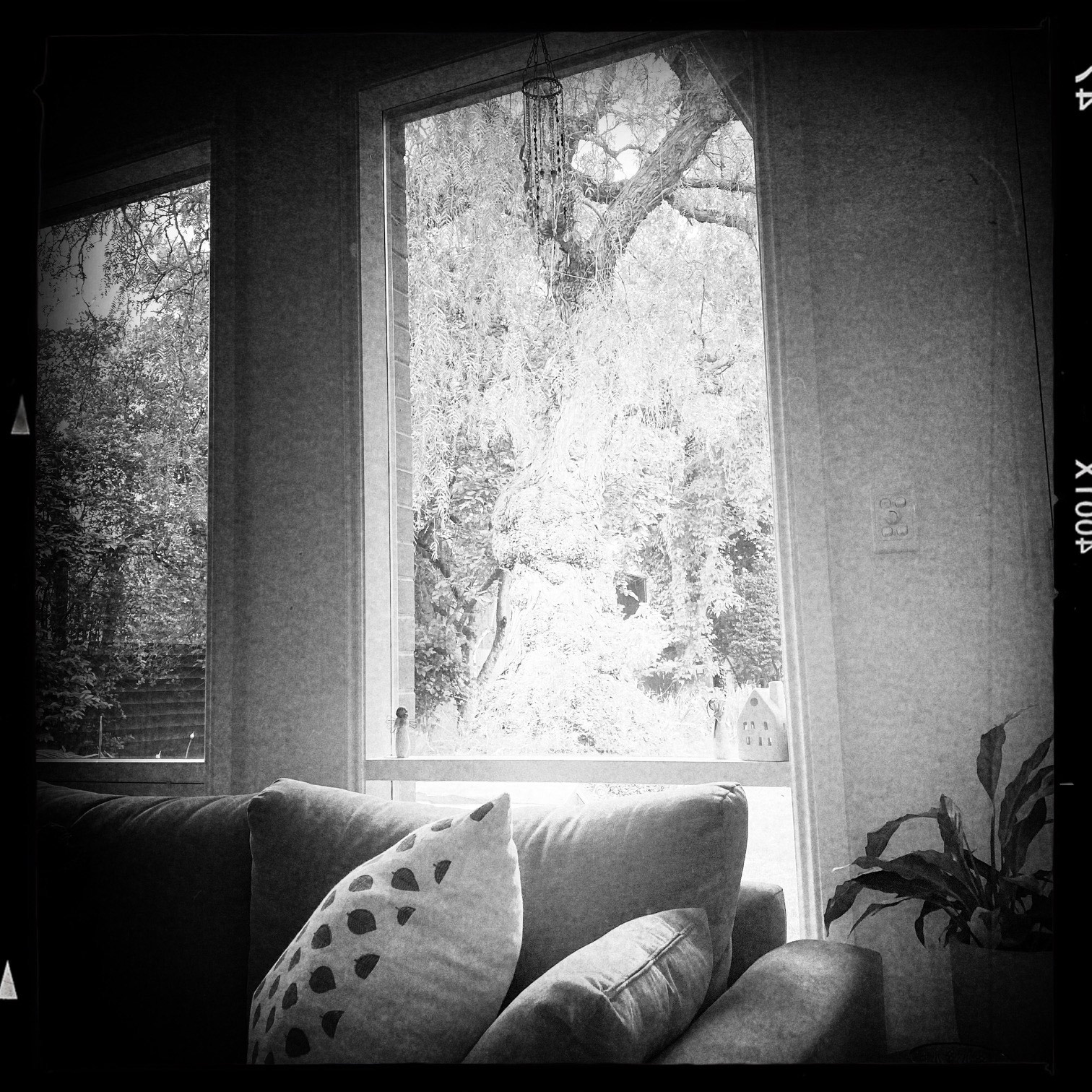 PHOTOGRAPHY