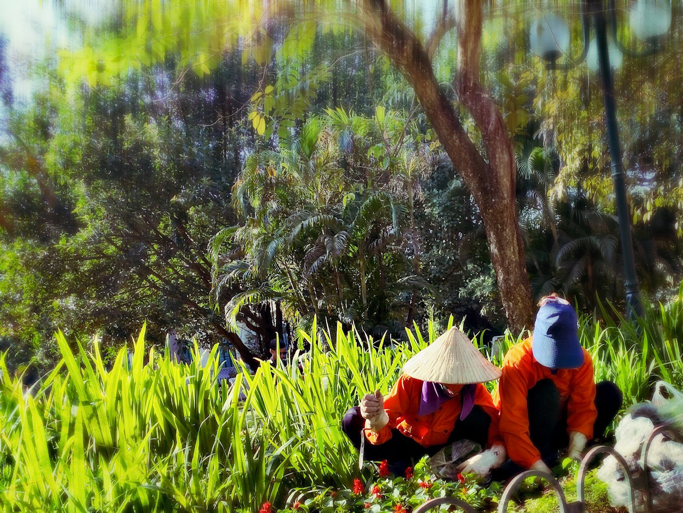 PHOTOGRAPHY